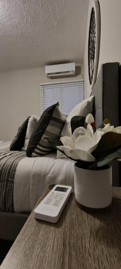 Bonito Departamento Remodelado Tranquilo Y Centrico Apartment *